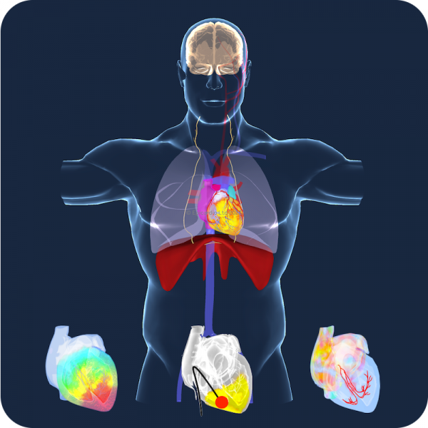 MED EDUCATOR/PRO yearly