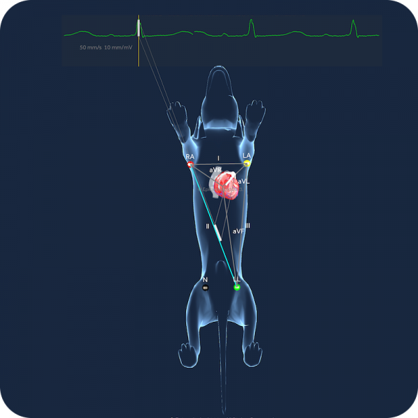 VET STUDENT ECG monthly